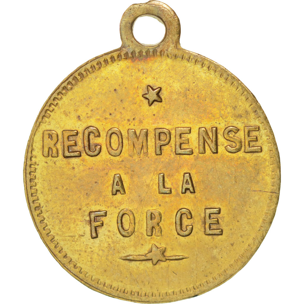 http://www.comptoir-des-monnaies.com/images/products/big/400989_recompense-force-medaille-revers.jpg