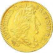 France, Louis XIV, Double louis dor  lcu,1692,Paris,TTB,KM 280.1,Gadoury 259