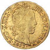 Louis XIV, Louis d'or  la mche longue
