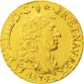 Louis XIV, Louis d'or  la tte nue 1674 Lyon, KM 219.3