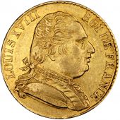 Louis XVIII, 20 Francs or dressed bust