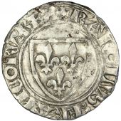 Charles VI, Blanc dit "Gunar", Romans