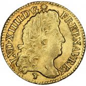French Royal Louis d'Or Royal French coins Frankreich Königreichr Louis XIV, Louis d'or à l'écu Golden