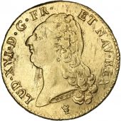 Louis XVI, Double Louis d'or to the naked head