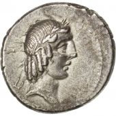 Calpurnia, Denier, Rome, Crawford 340/1