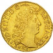 Louis XIV, Louis d'or  la tte virile, 1682 L, Bayonne, indit, Gadoury 248