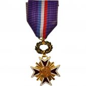 France, Dvouement artistique, Medal, Excellent Quality, Bronze