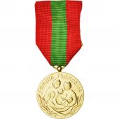 France, Famille Franaise, Medal, Trs bon tat, Bronze