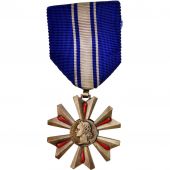 France, Mrite du sang, Medal, Trs bon tat, Bronze