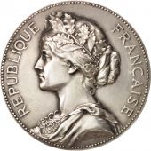 France, Medal, Dpartement de la Seine-Infrieure, History, Dubois.A, SUP