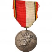 Belgique, Veteran medal, Medal, XXth Century, Trs bon tat, Silvered bronze