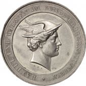 Germany, Medal, Kaufmnnischen Leipzig, Politics, Society, War, 1883