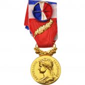 France, Mdaille dhonneur du travail, Business & industry, Medal, 2009