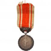 France, Medal of Honour for Public Hygiene, Politics, Society, War, Medal, XXth