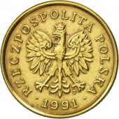 Coin, Poland, 5 Groszy, 1991, Warsaw, AU(50-53), Brass, KM:278