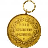 France, Medal, Agriculture and Horticulture, Comice agricole de Bthune