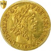 Monnaie, France, Louis XIII, 1/2 Louis dor, 1642, Paris, PCGS, MS63, SPL, Or