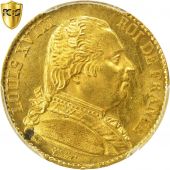 Monnaie, France, Louis XVIII, Louis XVIII, 20 Francs, 1814, Paris, PCGS, MS64