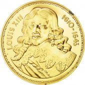 France, Medal, Les rois de France, Louis XIII, History, FDC, Vermeil