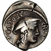 Plancia, Denarius, Rome, EF(40-45), Silver, Crawford:432/1