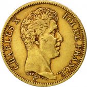 France, Charles X, 40 Francs, 1824, Paris, EF(40-45), Gold, KM:721.1