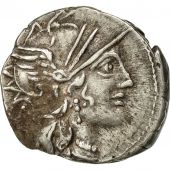 Plutia, Denarius, Rome, EF(40-45), Silver, Crawford:278/1