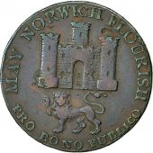 Coin, Great Britain, Norfolk, Halfpenny Token, 1792, Norwich, VF(30-35), Copper