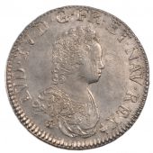 Louis XV, cu Vertugadin