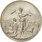 Germany, Medal, Landwirtschaftliche Austellung St.Avold, 1892, Mayerstuttbart
