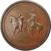 United Kingdom , Medal, Elgin, Georges IV, Thomason, TTB+, Bronze