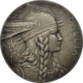France, Medal, Conseil Gnral du Nord, Gallia, Pillet, TTB, Bronze