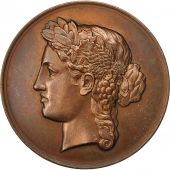 France, Medal, Comice de la Double Echourgnac, 1876, Rene Vautier, SUP, Cuivre