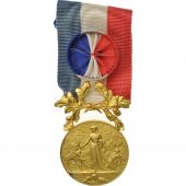 France, Courage et Dvouement, Sauvetage, Medal, Excellent Quality, Coudray