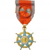 France, Mrite Social, Ministre du Travail, Officier, Medal, Excellent