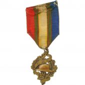 France, Union Nationale des Combattants, Mdaille, Trs bon tat, Bronze, 33