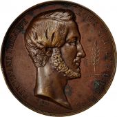Algeria, Medal, Passage des portes de Fer, Gloire  lArme dAfrique, 1839