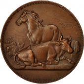 Algeria, Medal, Concours Rgional de Bne, 1875, Dubois.A, EF(40-45), Copper