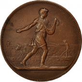 Algeria, Medal, Comice Agricole de Philippeville, Ref-Ref, 1876, Lagrange