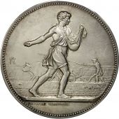 Algeria, Medal, Comice Agricole de Philippeville, Constantine, 1876, Lagrange