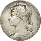 Algeria, Medal, Conseils municipaux dAlger, 1892, Botte, AU(50-53), Silvered