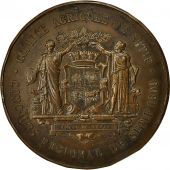 Algeria, Medal, Comice Agricole de Stif, 1899, Desaide, EF(40-45), Bronze