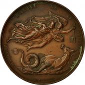 Algeria, Medal, Conqute dAlger par le Comte de Bourmont, 1830, Caqu