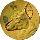 Algeria, Medal, Exposition Canine dAlger, 1934, AU(50-53), Gilt Bronze