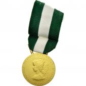 France, Mdaille dhonneur communale, rgionale et dpartementale, Medal