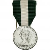 France, Mdaille dhonneur communale, rgionale et dpartementale, Medal