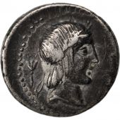 Calpurnia, Denarius