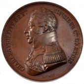 Charles Philippe of France, Medal