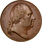Louis XVIII, Mdaille, Proclamation de la Charte Constitutionnelle