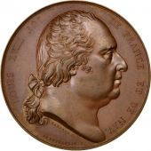 Louis XVIII, Mdaille, Proclamation de la Charte Constitutionnelle