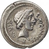 Sicinia, Denier